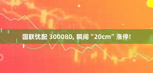 国联优配 300080, 瞬间“20cm”涨停!